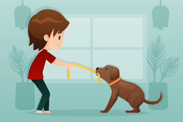 Dog and the Bone