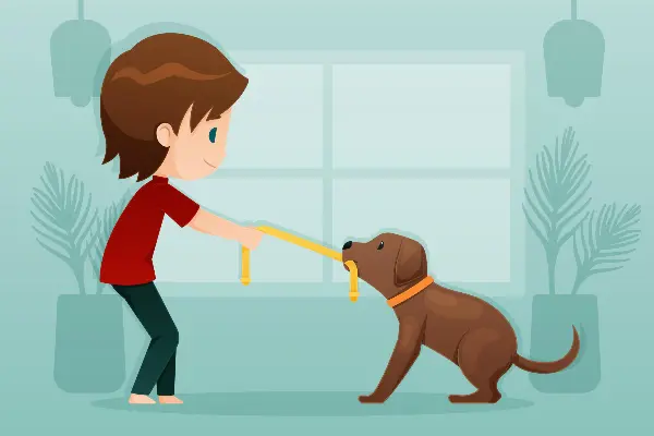 Dog and the Bone
