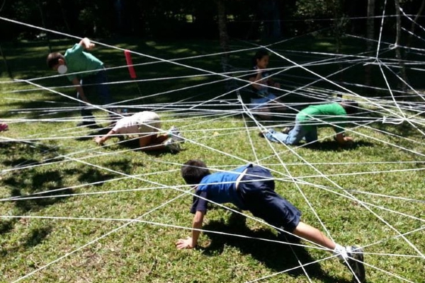 Spider Web