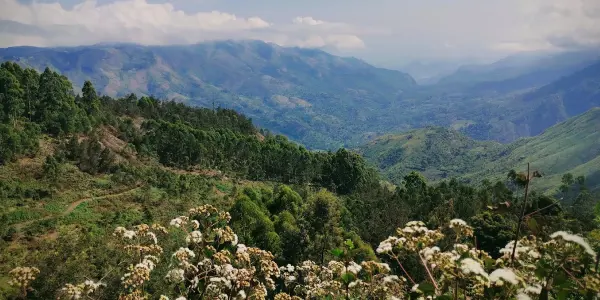 Trekking Tales: Adventures in the Kodai Palani Hills