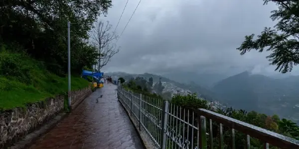 Walking on Clouds: Experiencing the Beauty of Coaker's Walk