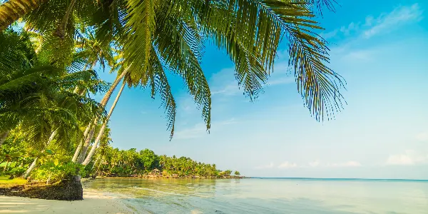 Best Summer Adventure Ideas and Fun Activities Near Bangalore
