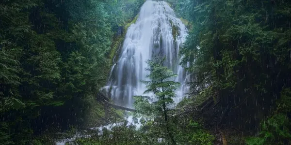 Hiking to Paradise: Your Journey to Fairy Falls