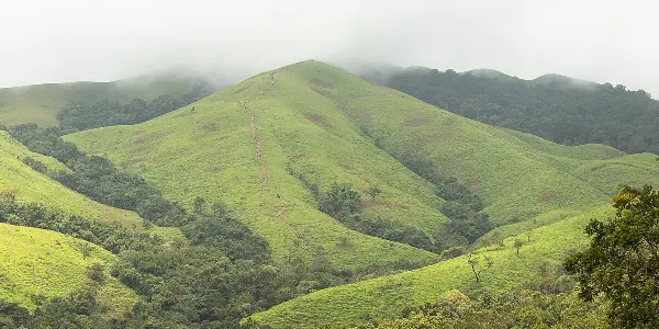 Explore the Wonders of Kudremukh: Trekking, Wildlife, and More