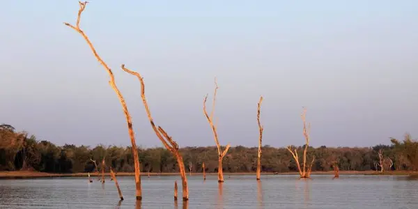 Kabini's Call of the Wild: A Photographer's Paradise