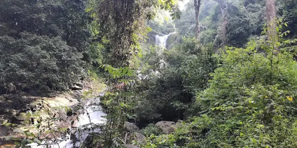 Discover the Untamed Beauty of Iruppu Falls