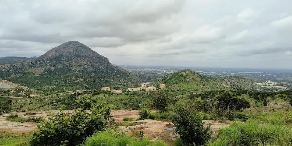 Green Escapes: Exploring the Beauty of Nandi Hills