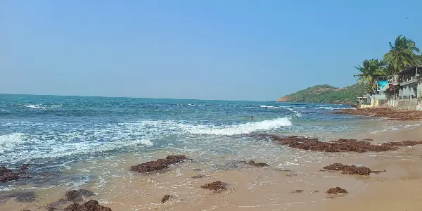 Exploring Anjuna Beach: The Heart of Goa's Coastal Charm