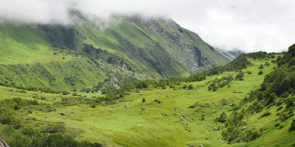 Making Memories in Majestic Green Valley