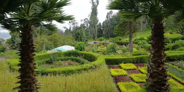 Your Guide to a Perfect Picnic at Chettiar Park