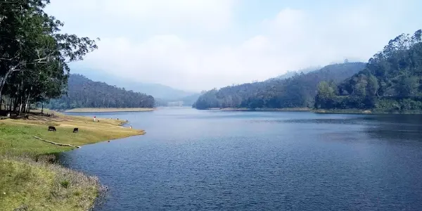 Lost in the Lush Embrace of Berijam Lake
