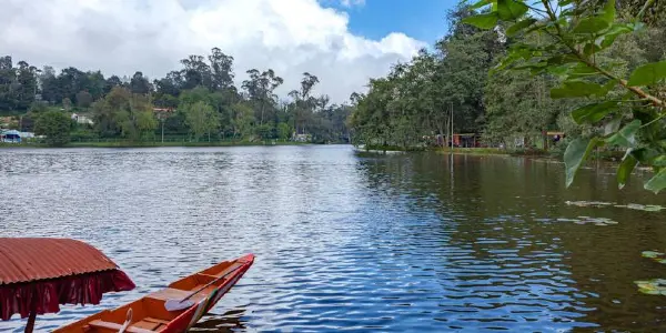 Unlocking the Magic of Kodai Lake: Tips and Tricks