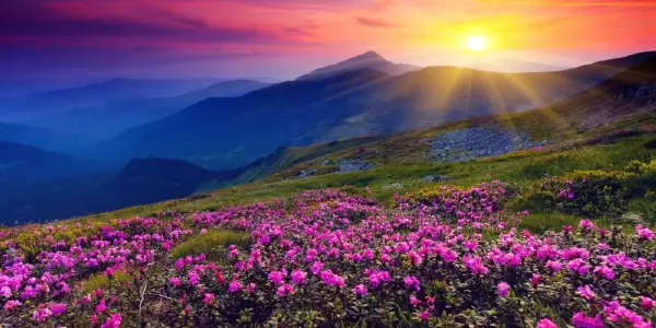 Explore Ooty's 7 Magnificient Places with escape2explore Explore Ooty's 7 Magnificient Places with escape2explore