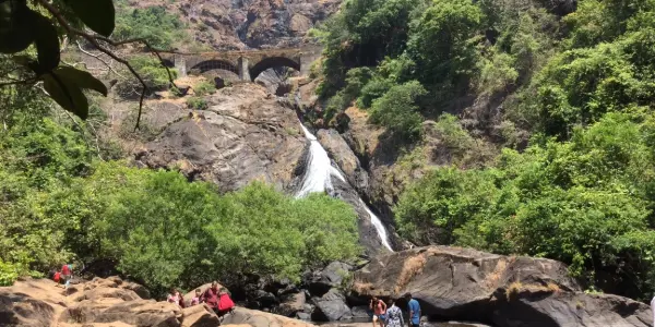 Dudhsagar Waterfall Activities: Adventure and Nature Combined