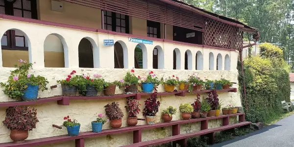 Connecting with Our Roots: A Visit to Shenbaganur Museum
