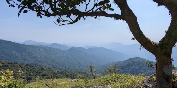 Kabbe Hills for Beginners: A Comprehensive Guide