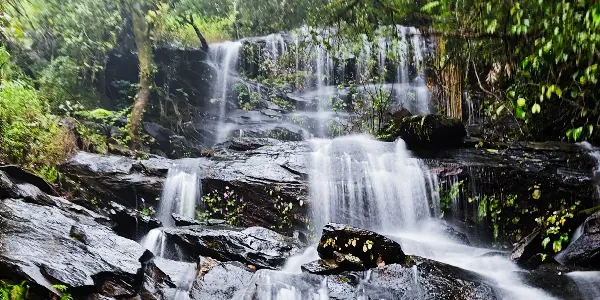 Netravati Peak: A Hidden Gem in the Western Ghats Netravati Peak: A Hidden Gem in the Western Ghats