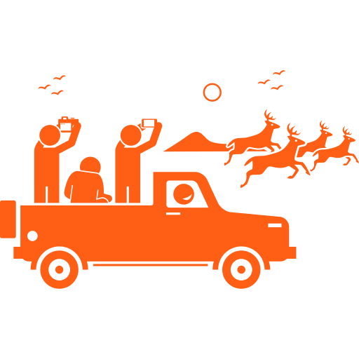 Safari