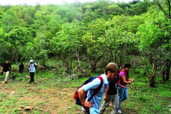 Bilikal Rangaswamy Betta Sunrise Trek