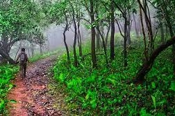 Turahalli Forest Trek With Rappelling