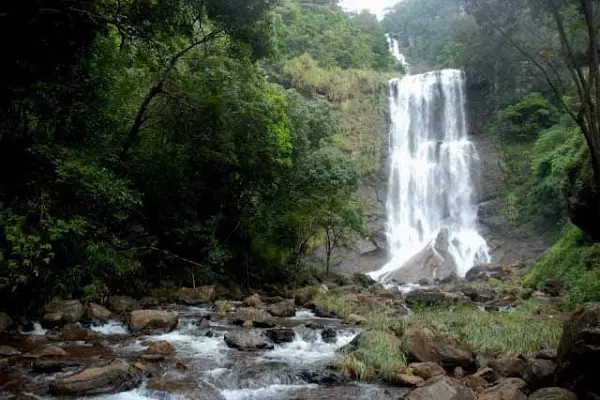 Kemmangundi Trek