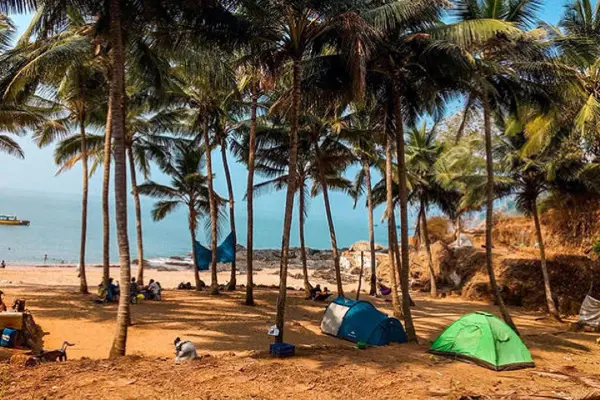 Gokarna Beach Trek with Camping