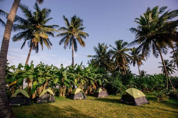 Kanva Dam Just Camp