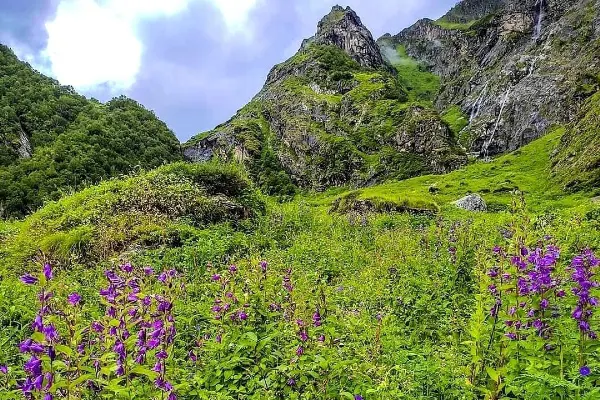 Valley Of Flowers Trek