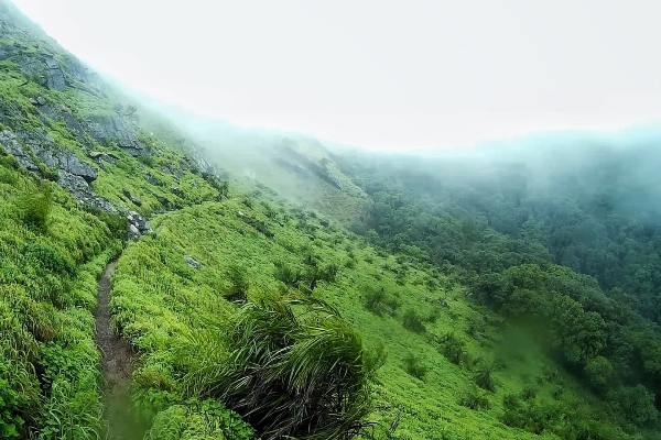 Kemmangundi Trek