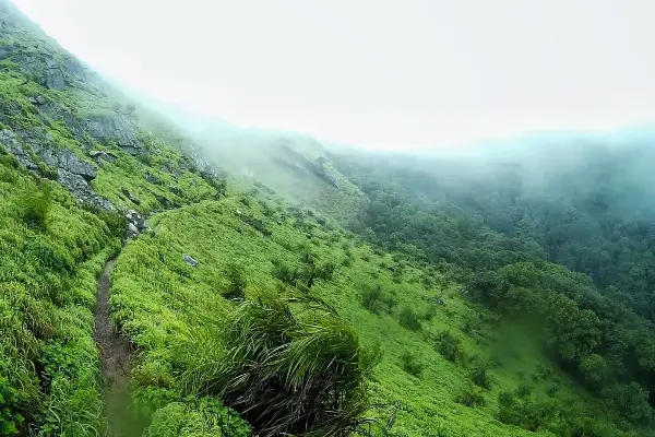 Kemmangundi Trek