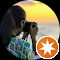 user profile