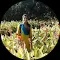 user profile