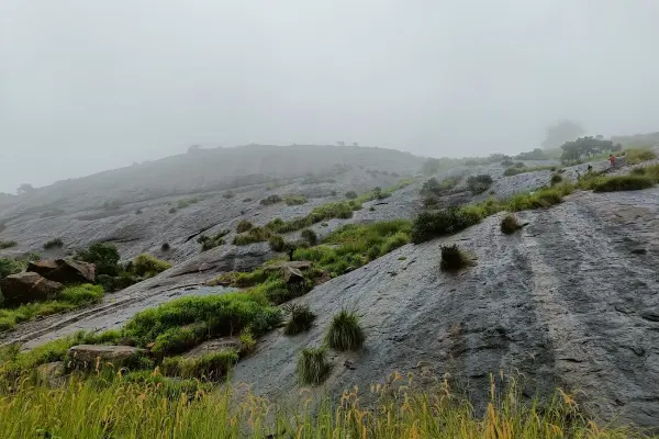 Narayanagiri Day Trek with Water Activities