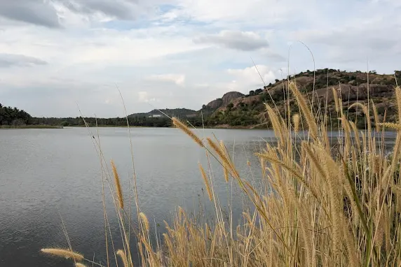Rangarayara Doddi Lake Water Sports