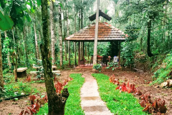 Luxurious Room Stay at Mullayanagiri
