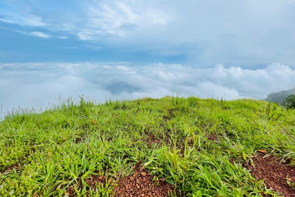 Kodachadri Trek