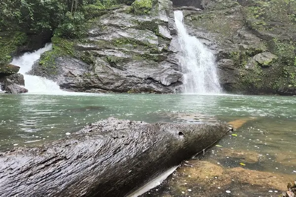 Agumbe Trip Package image 7