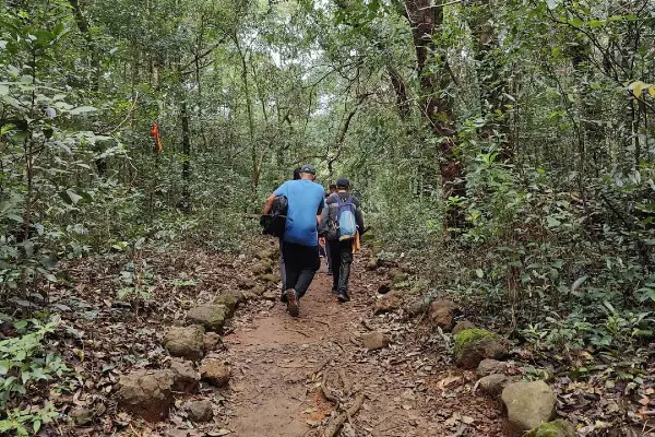 Bhorgiri To Bhimashankar Trek
