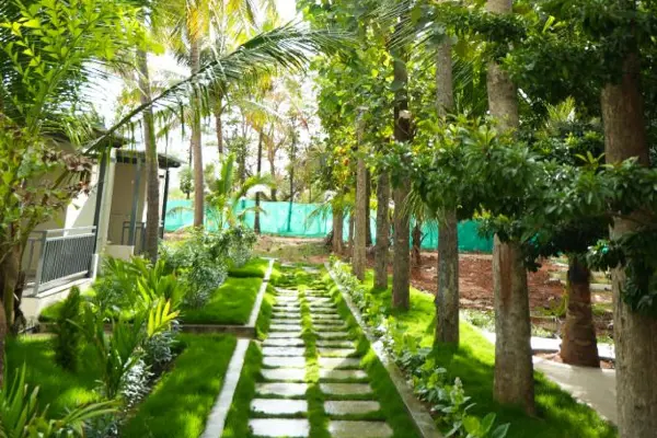 Gandhada Goodu Resort Room Stay