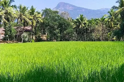 Valikunja Trek