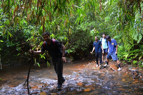 Kudremukh Trek