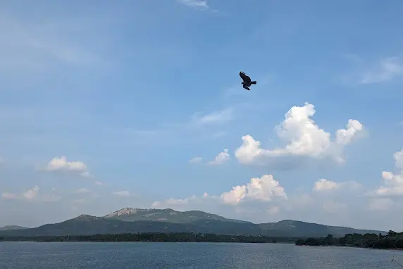 Mavathur Lake Water Sports image 6