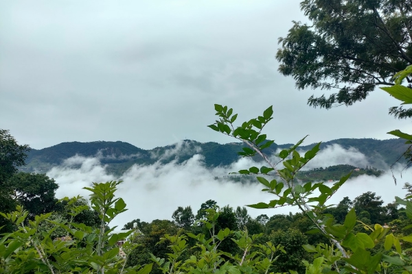 Kotagiri Trek