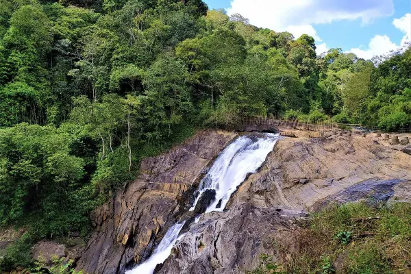 Wayanad Tour Package
