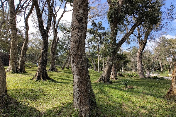 Yercaud Trip Package