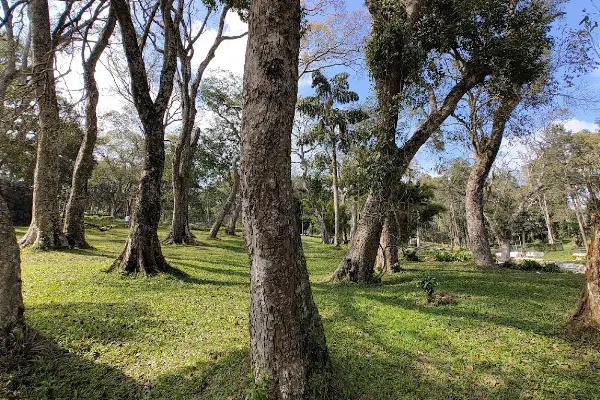 Yercaud Trip Package