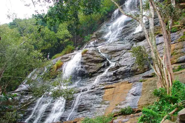 Yercaud Trip Package image 7