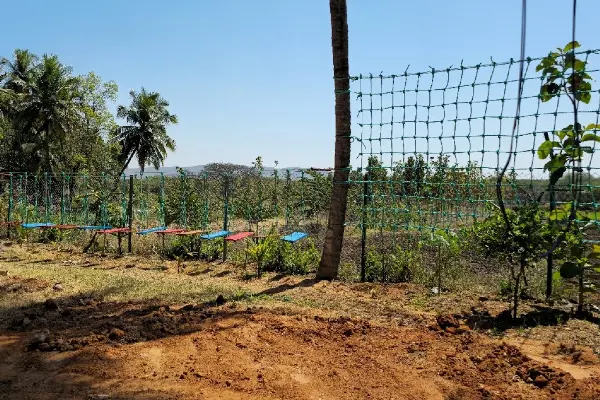Farm Stay with Pool And Adventure Activities