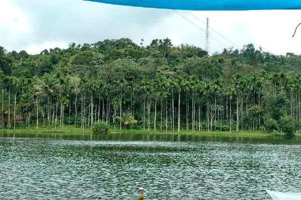 Wayanad Tour Package image 6