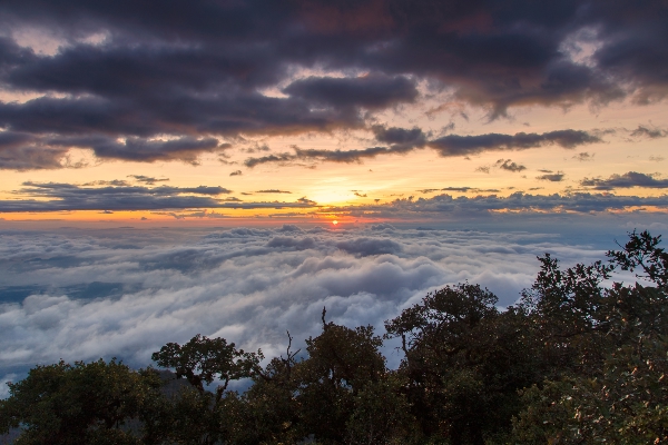 Skandagiri Sunrise Trek